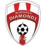 Albury Wodonga Diamonds Logo